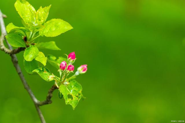 春天来了的诗词（《春暖花开》）