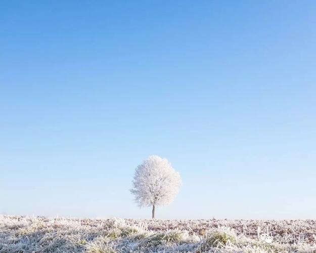 有关形容雪很美的唯美诗句的短句（《素雪映山川》）