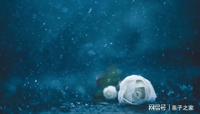 形容雨夜的诗词名句（雨夜的唯美诗句）