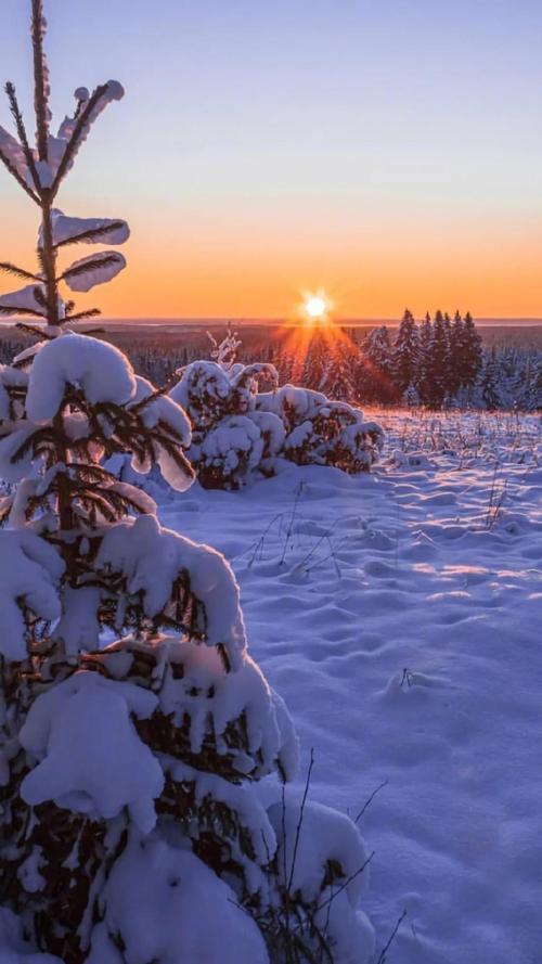 赞美春天雪景的诗句 古诗（《春雪唯美诗句》）