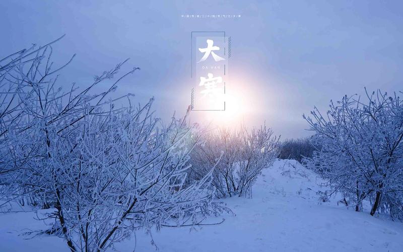 赞美春天雪景的诗句 古诗（《春雪唯美诗句》）