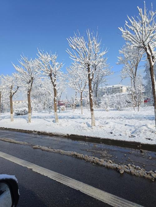 赞美春天雪景的诗句 古诗（《春雪唯美诗句》）