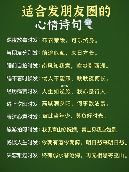 有关朋友的唯美诗句的好句有哪些（以花为名，以友为情）