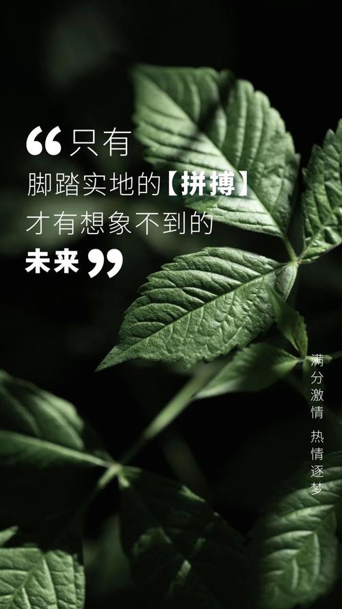 高考励志正能量的句子（以梦为马，砥砺前行）