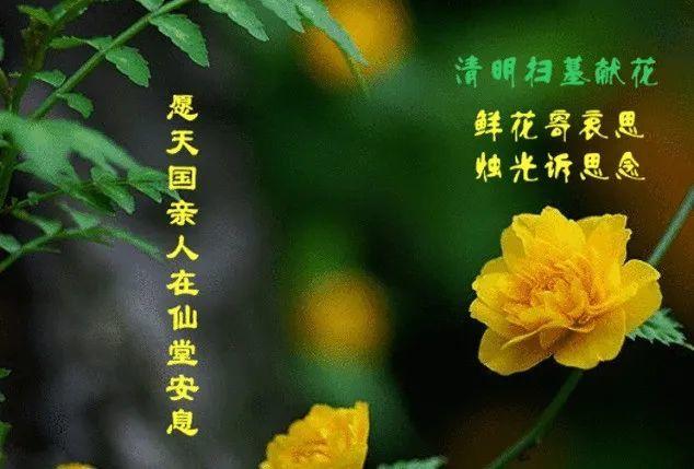 追思亲人的句子 经典（流年轮回，记忆永存；）