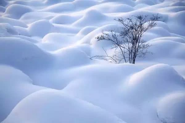 写雪诗词名句有哪些（十句写雪的名诗）