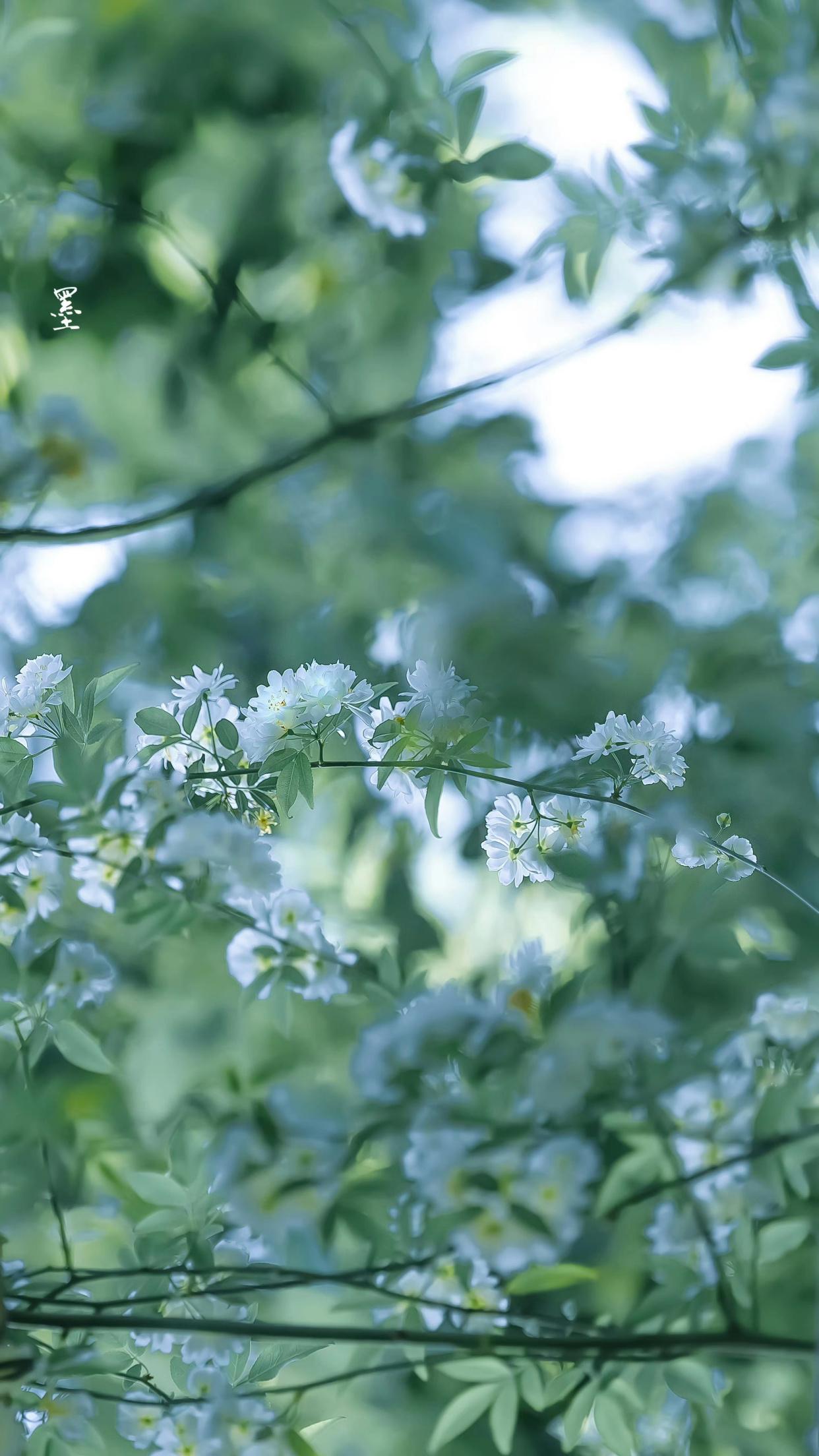 君非池中物，咫尺蛟龙云雨（40句离别祝福诗词）