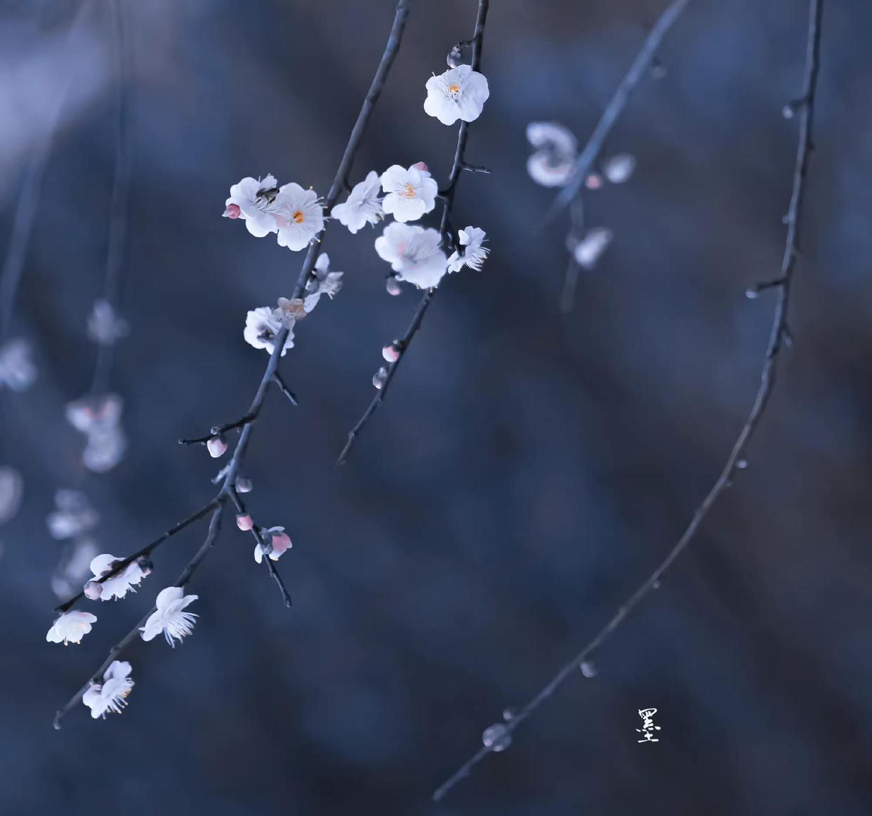 秦观十首经典词（自在飞花轻似梦，无边丝雨细如愁）