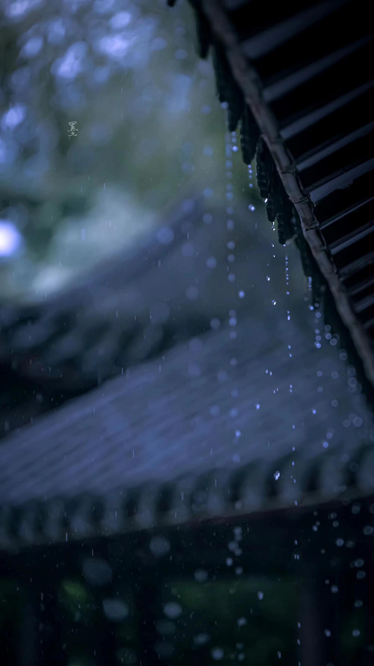 初春有梦，雨落成诗（精选四首唯美春雨诗词）