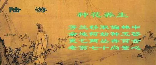 养生诗词名句摘抄（8首养生唯美诗词）