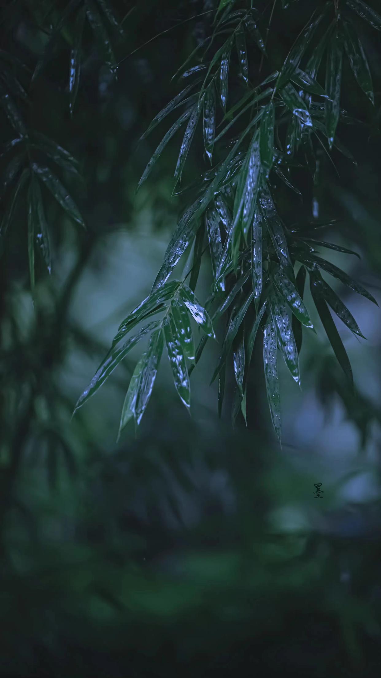 秋雨励志古诗词名句（四首唯美秋雨诗词）