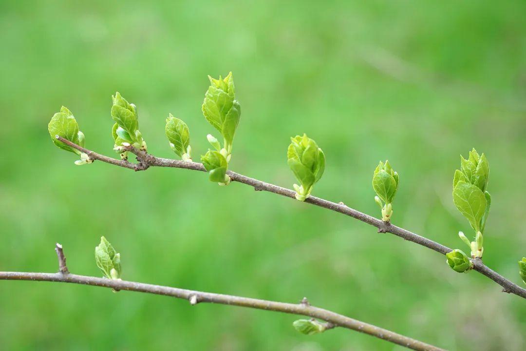 三月经典古诗大全（30首明媚的诗词）