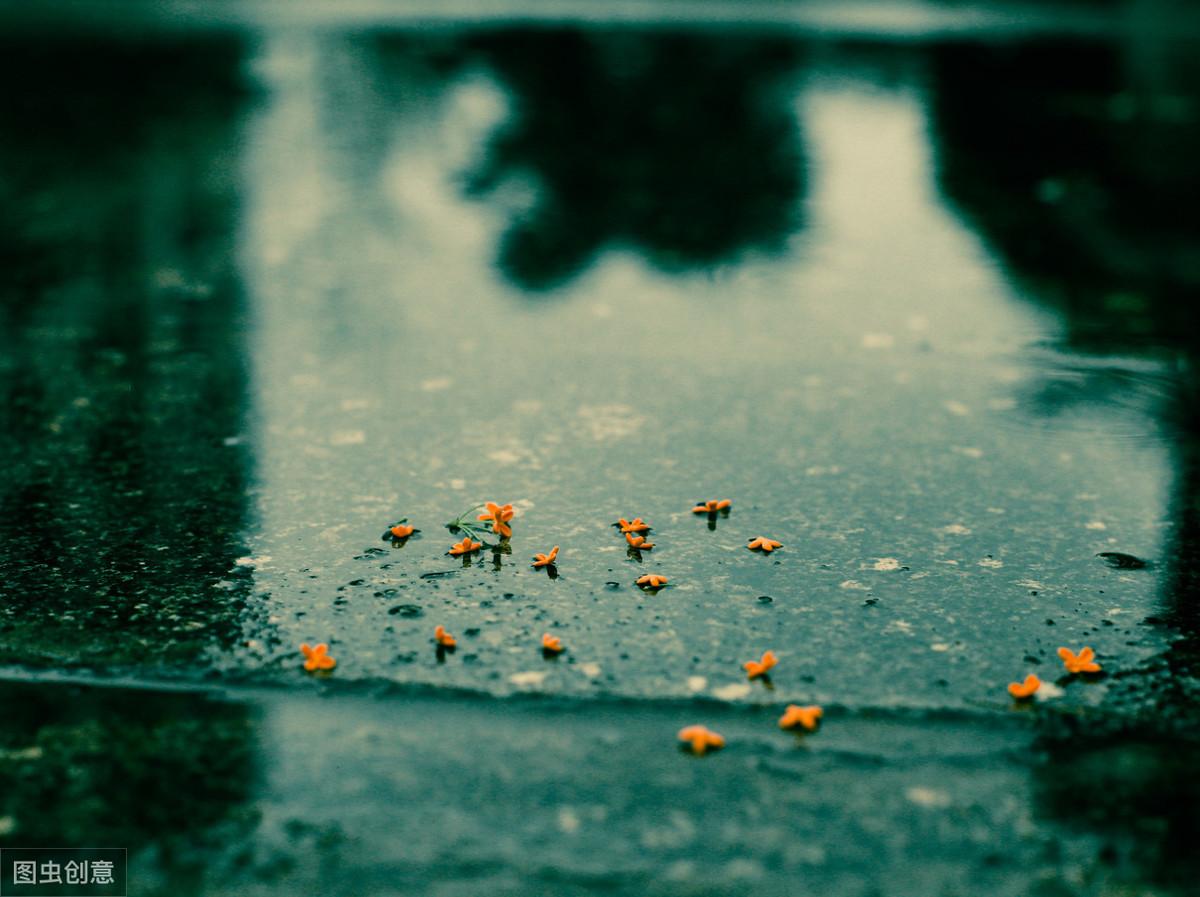 蒙蒙细雨意境的诗句（何当共剪西窗烛，却话巴山夜雨时）春雨夏雨秋雨