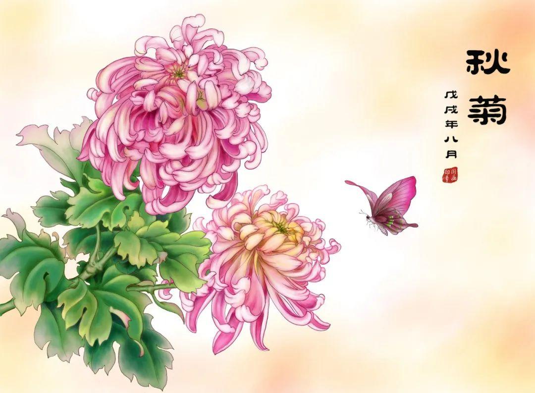 菊花经典诗词大全（38句美不胜收的菊花诗词）