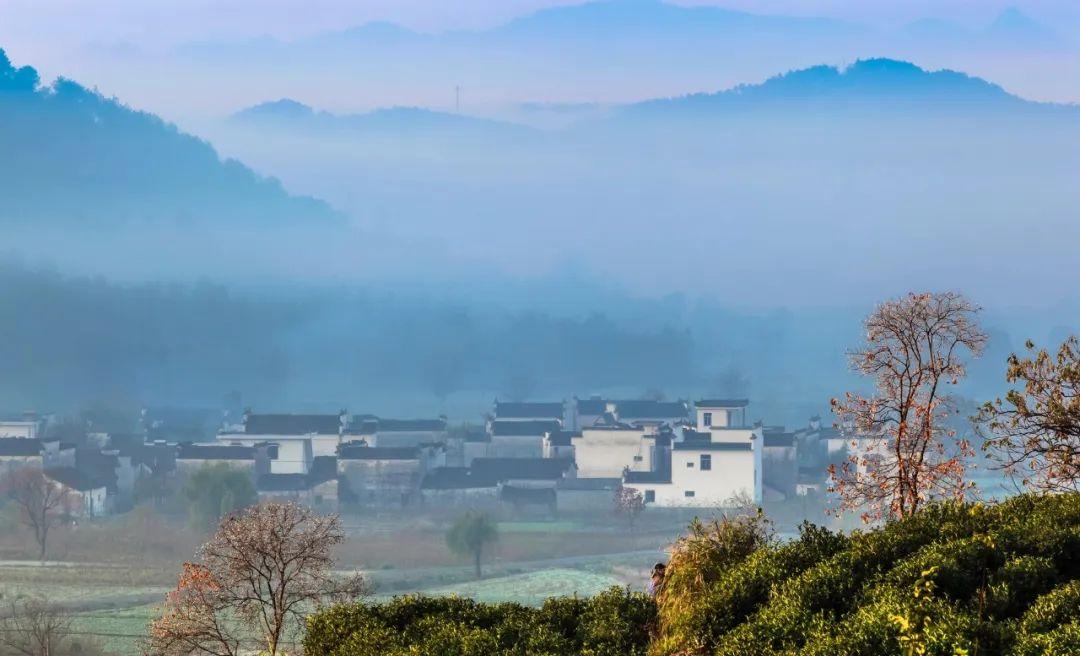 修一颗静心，守人生清明（精选30句静美诗词）