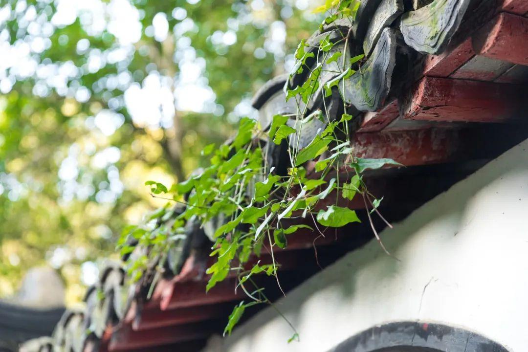 夏日唯美诗词大全（10首温柔夏日诗词）