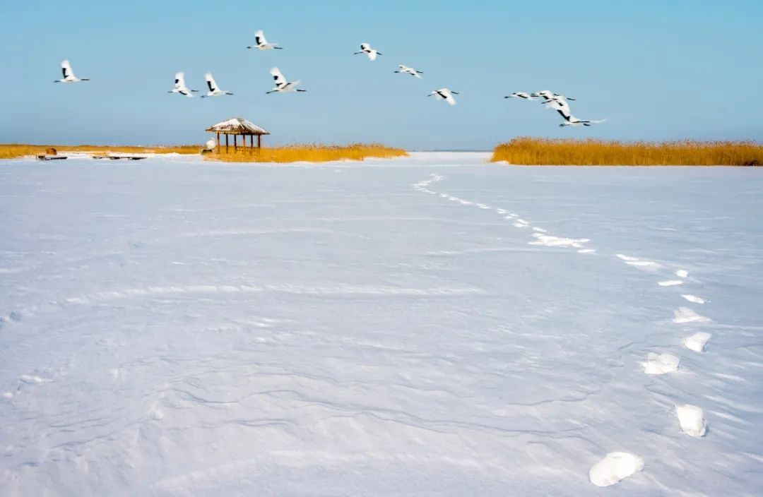 江南江北，大雪漫漫（10首大雪诗词）