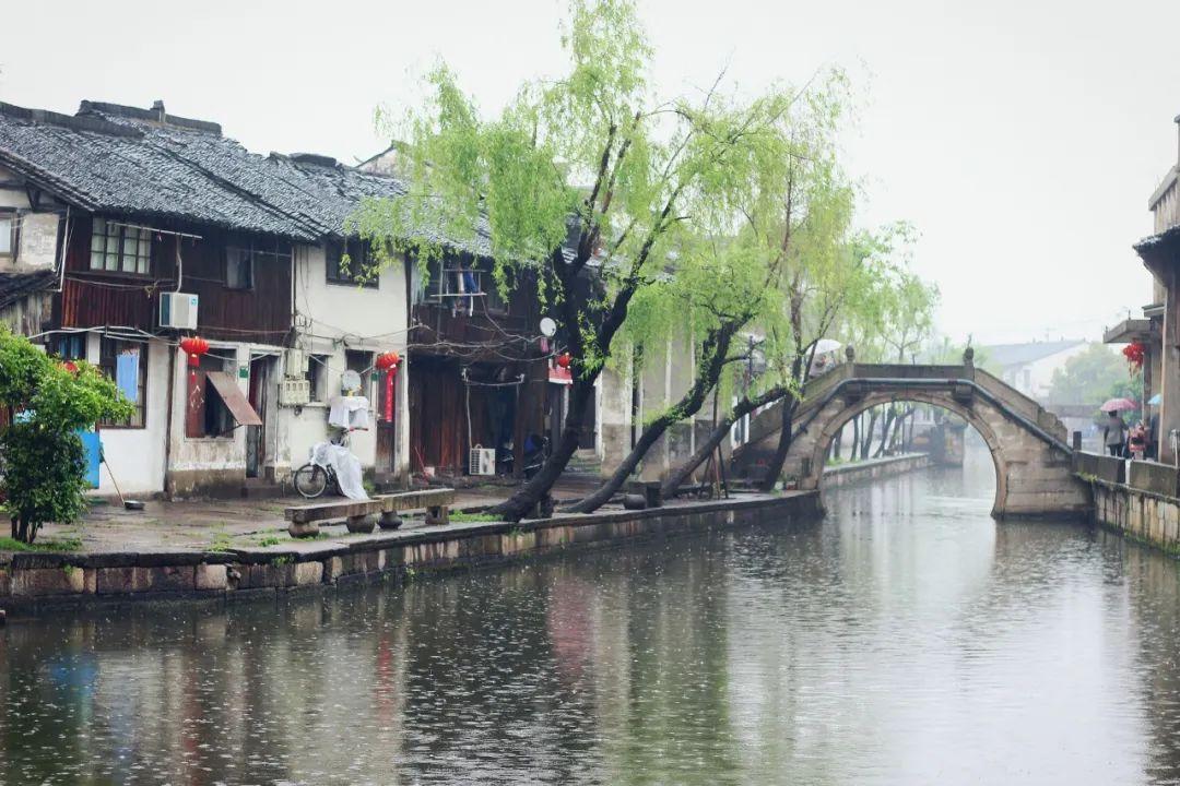 绿柳才黄，风和日暖（精选10首优美的春日诗词）