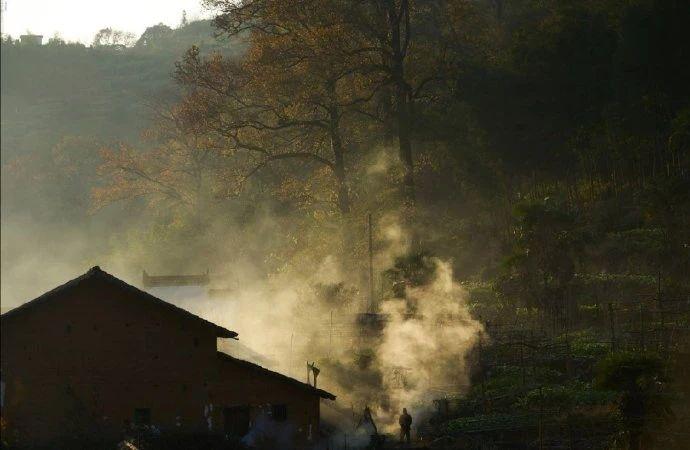 岁月唯美诗词大全（30个岁月静好的诗词）