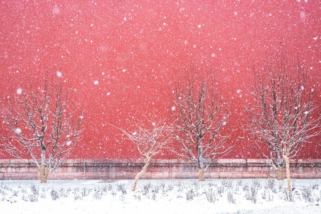 写雪诗词名句有哪些（10首写雪的诗词）