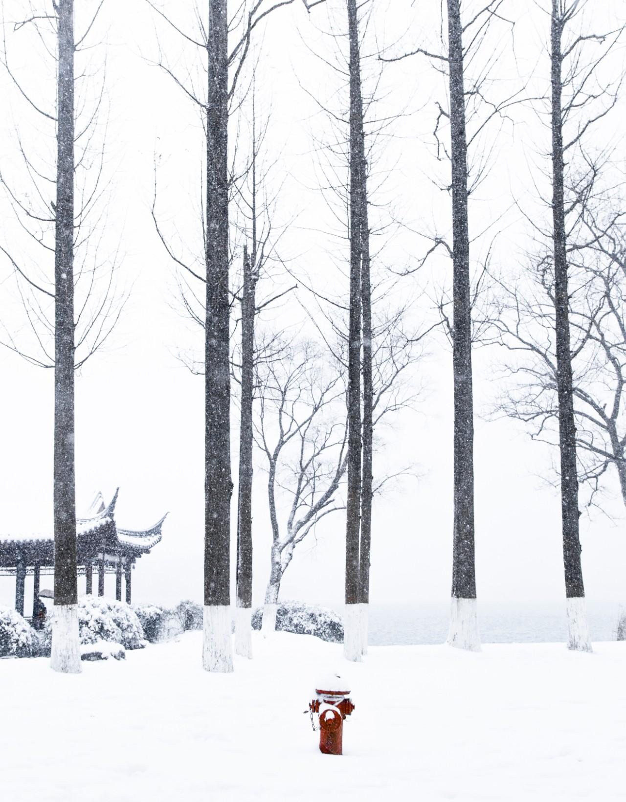 咏雪唯美诗词大全（16首经典咏雪诗词）