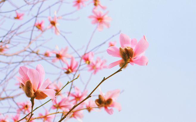 迷人的夜晚小学作文（《城市的夜晚》）