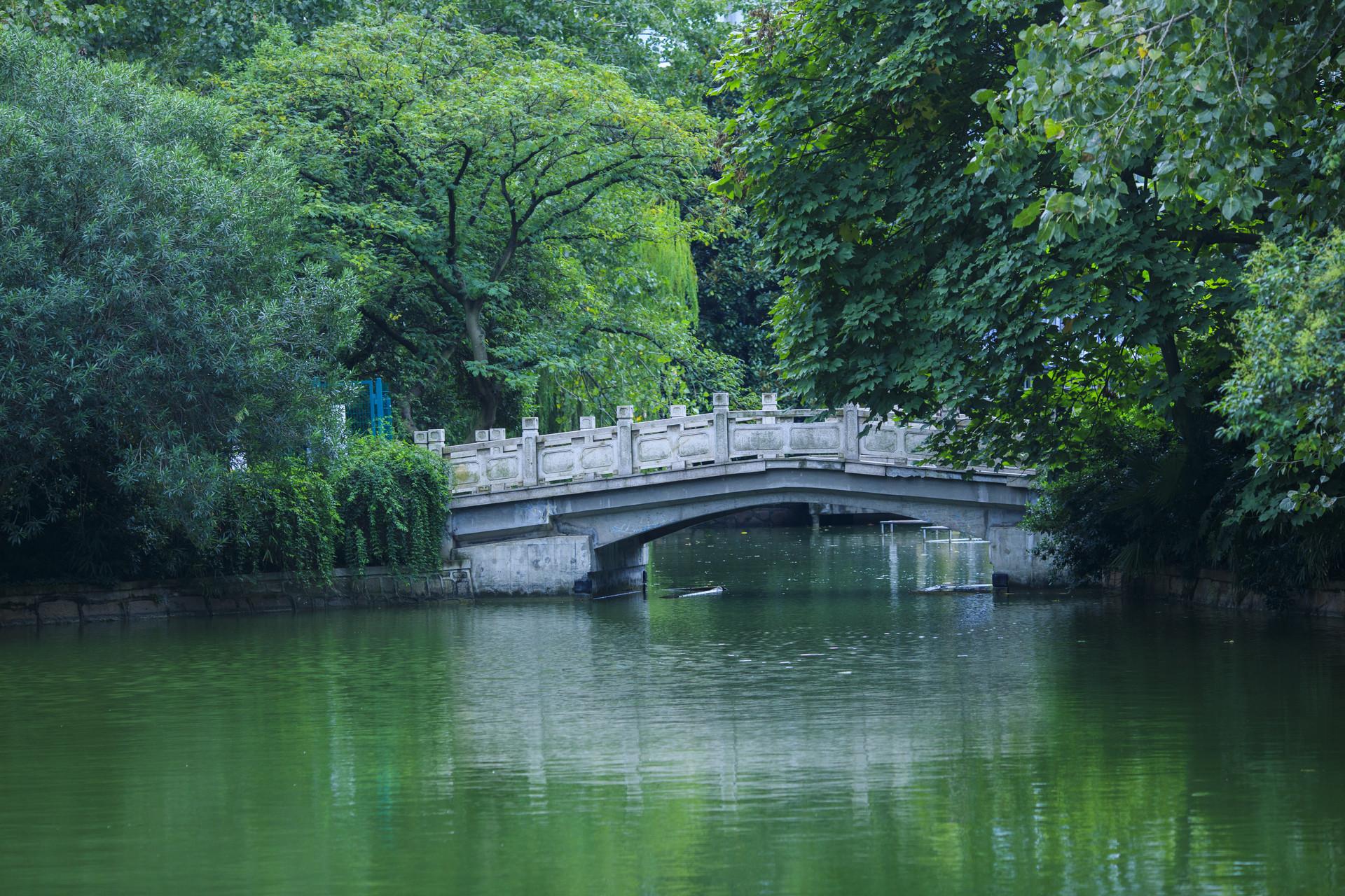 释然唯美诗词大全（十首释然诗词）