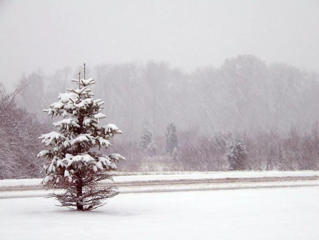 小雪经典诗词大全（十首小雪诗词）