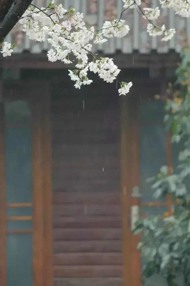 写雨经典诗词有哪些（九首写雨的诗词）