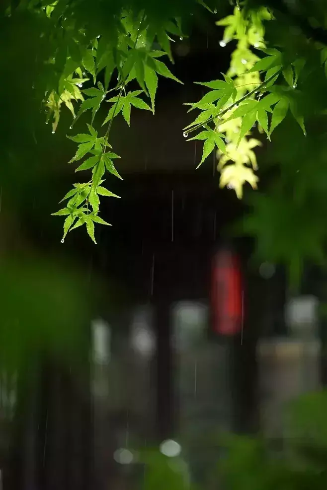 写雨经典诗词有哪些（九首写雨的诗词）