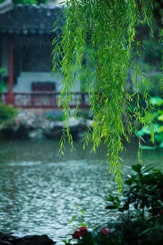 写雨经典诗词有哪些（九首写雨的诗词）