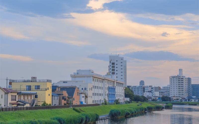 夏天的公园高中作文（《夏天的颜色》）