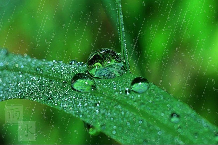 听雨经典诗词有哪些（十首听雨诗词）