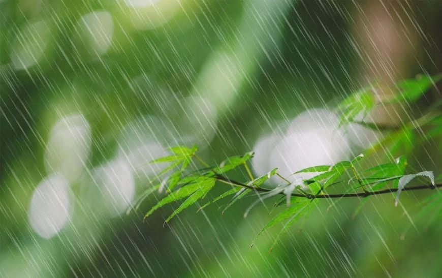 听雨经典诗词有哪些（十首听雨诗词）