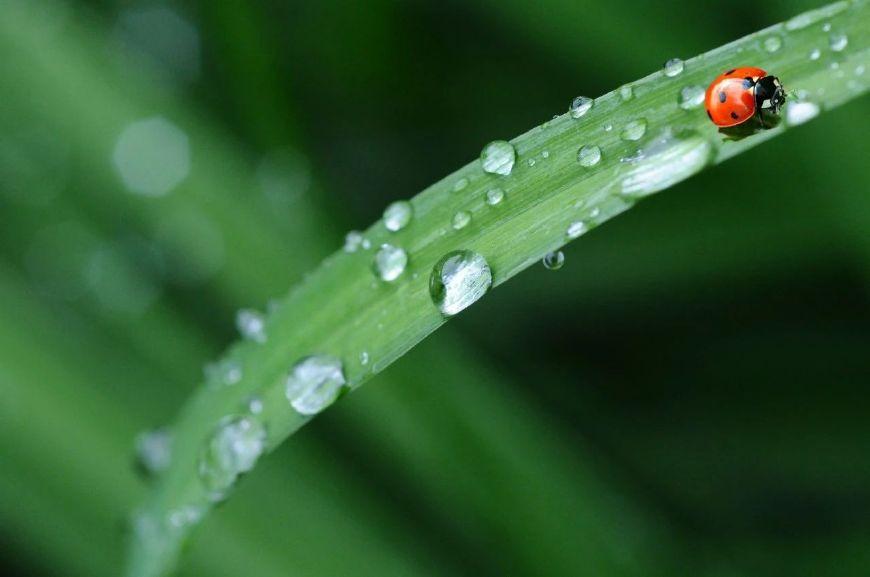 听雨经典诗词有哪些（十首听雨诗词）