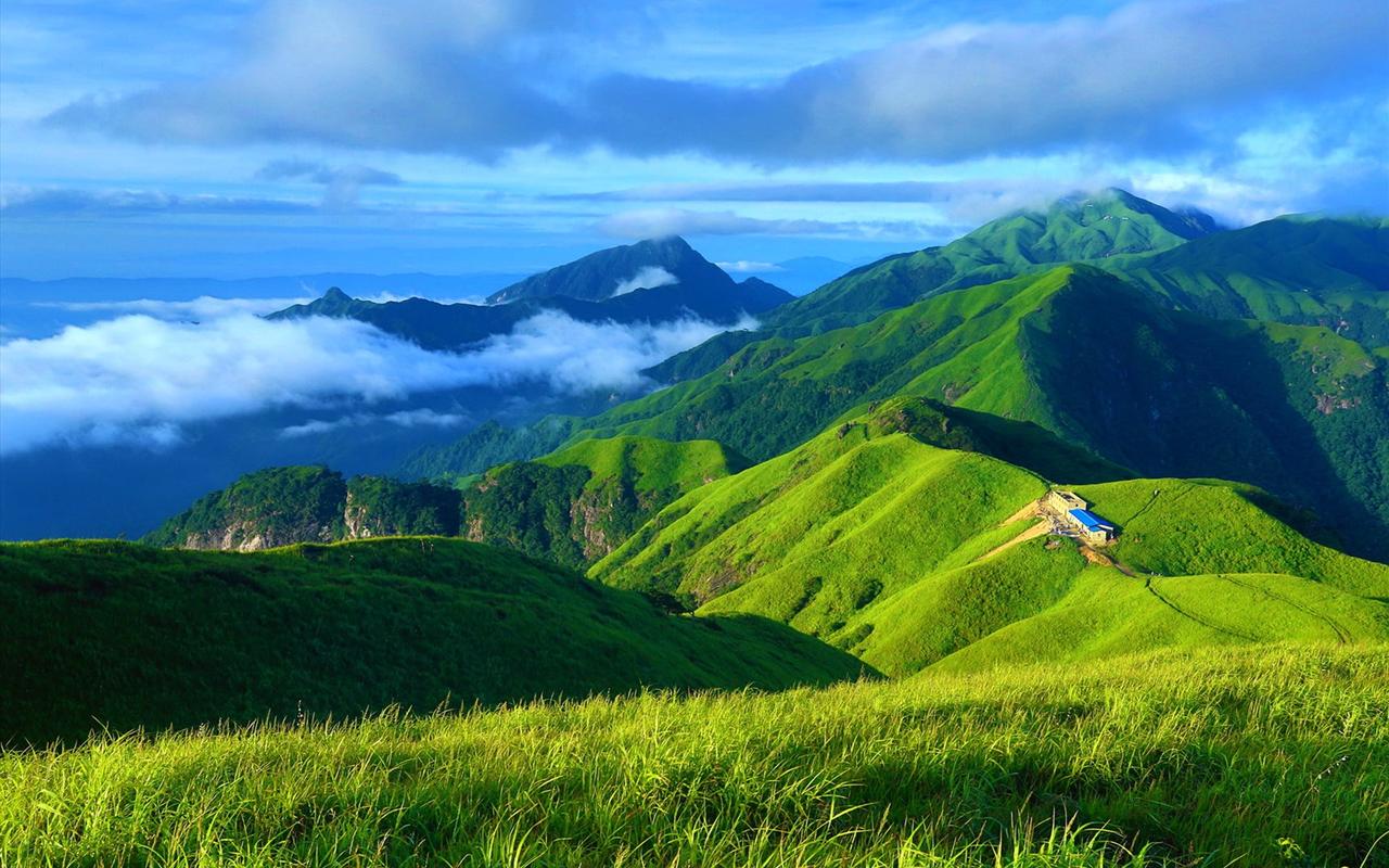 描写夏天的荷花初中作文（《夏天的风景》）