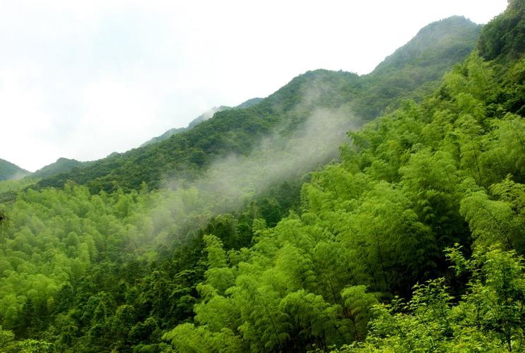 描写夏天的话题初中作文（《夏天的风景》）