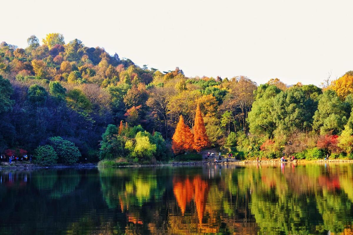 关于家乡的夏天小学作文（《美丽的夏天》）