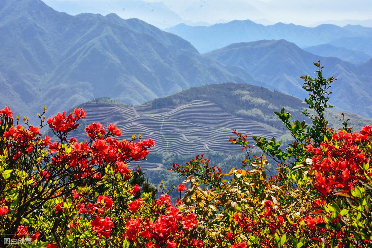 灯前一觉江南梦，惆怅起来山月斜（精选17首经典羁旅古诗）