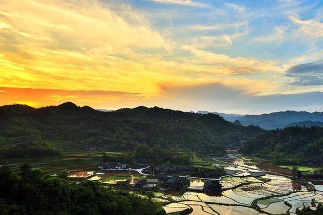 迷人的夏天小学作文（《夏天的风景》）