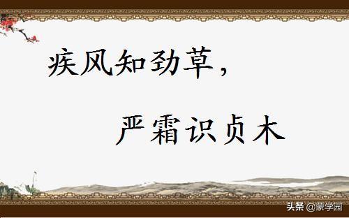 二十四史经典格言有哪些（二十四史经典100句）