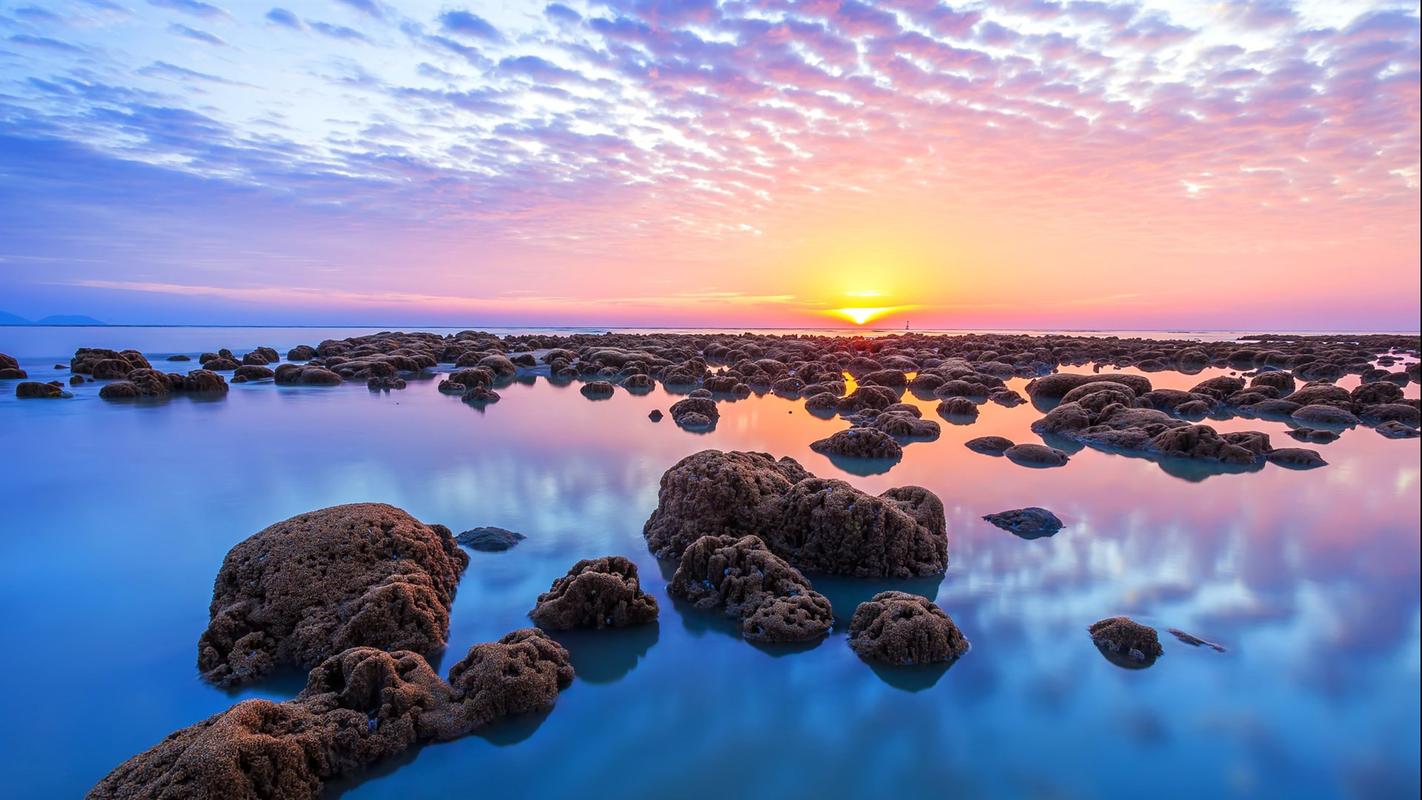 关于校园的夏天初中作文（《夏天的风景》）