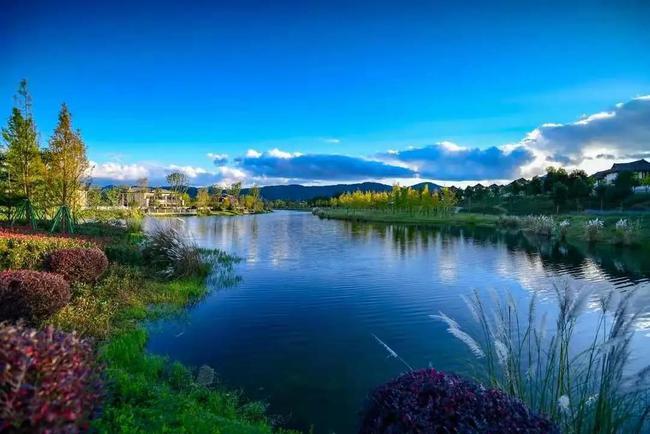 炎热的夏天初中作文（《夏天的风景》）