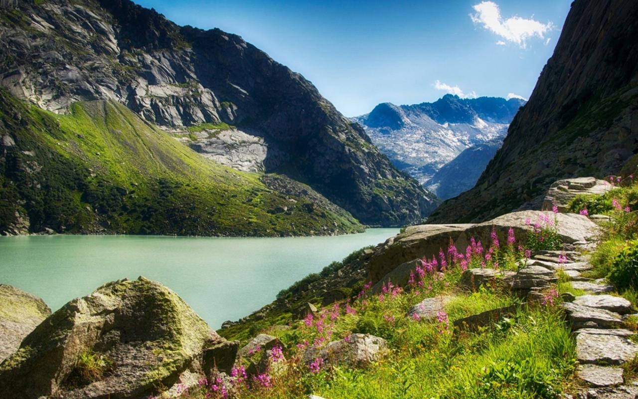 拥抱夏天的初中作文（《夏天的风景》）