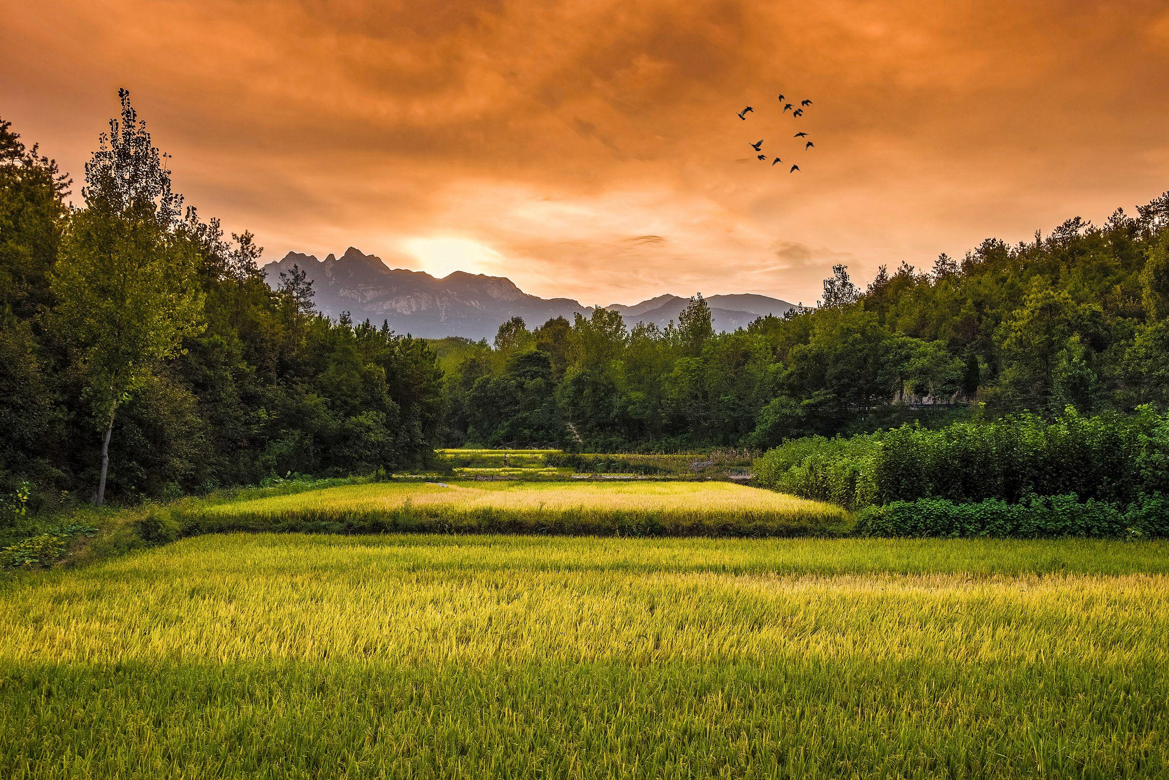 空山新雨，松间明月（推荐10首古诗词中的初秋）