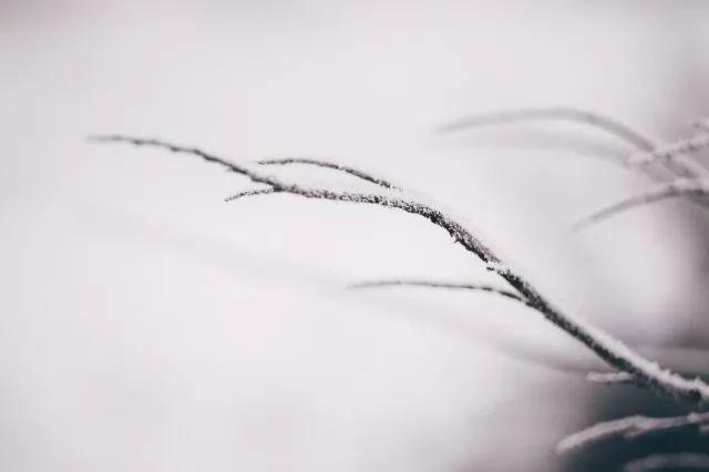 写雪唯美诗词有哪些（十首唯美写雪诗词）