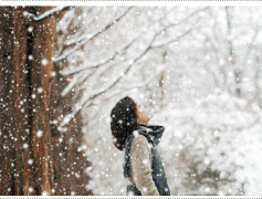 雪花诗词名句大全（25句唯美雪花诗词句）