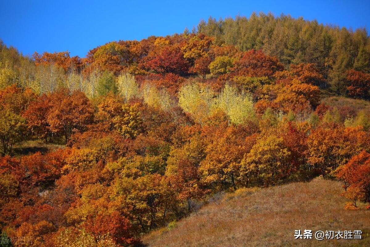 立冬唯美的古诗词经典（立冬古诗五首）