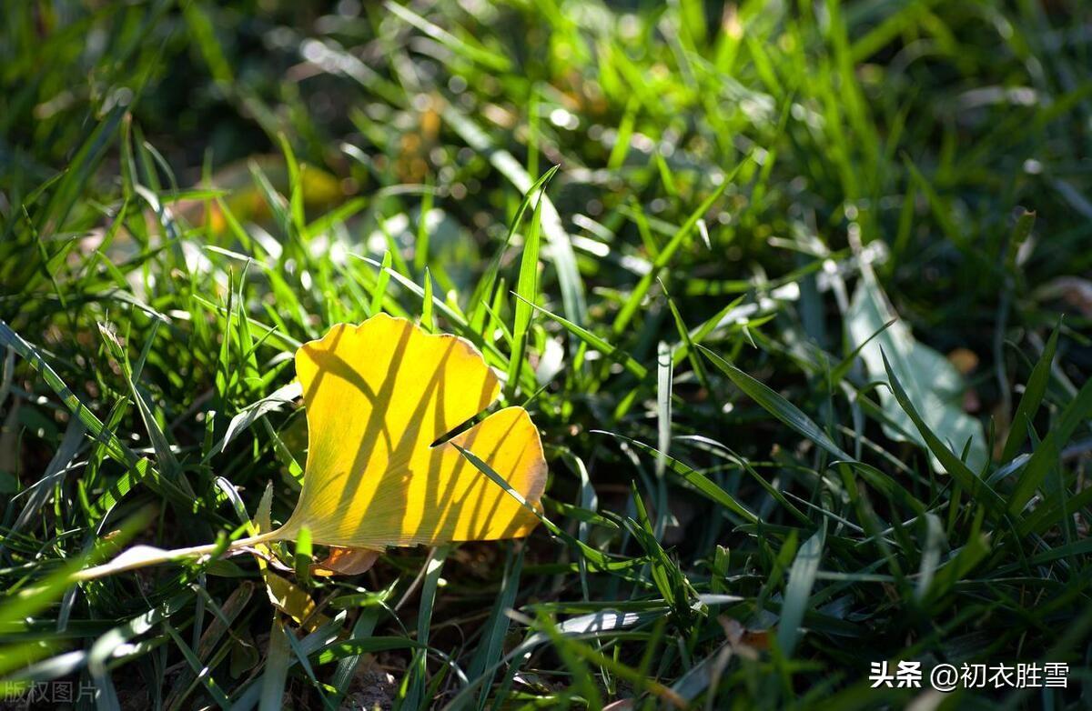 立秋经典诗词有哪些（立秋节气古诗五首）