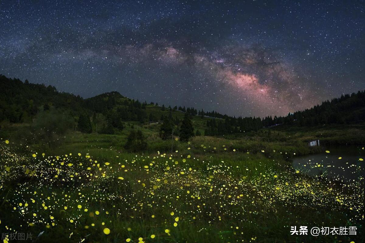 大暑经典诗词鉴赏（大暑节气古诗五首赏读）